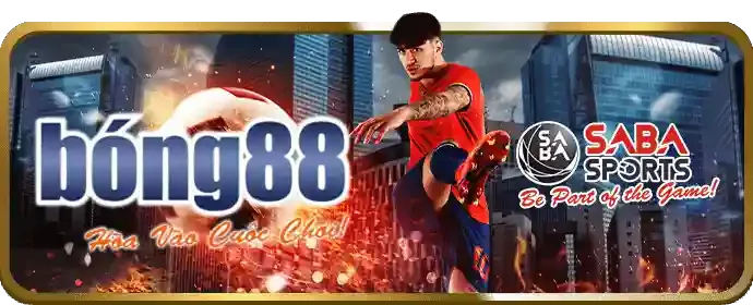 Hướng dẫn cá cược trực tuyến cho người mới tại mb5